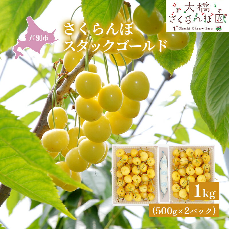 [先行受付]さくらんぼ スタックゴールド1kg(500g×2パック)サクランボ 黄 大橋 芦別 希少 果物類 フルーツ チェリー お届け:2025年7月下旬頃〜