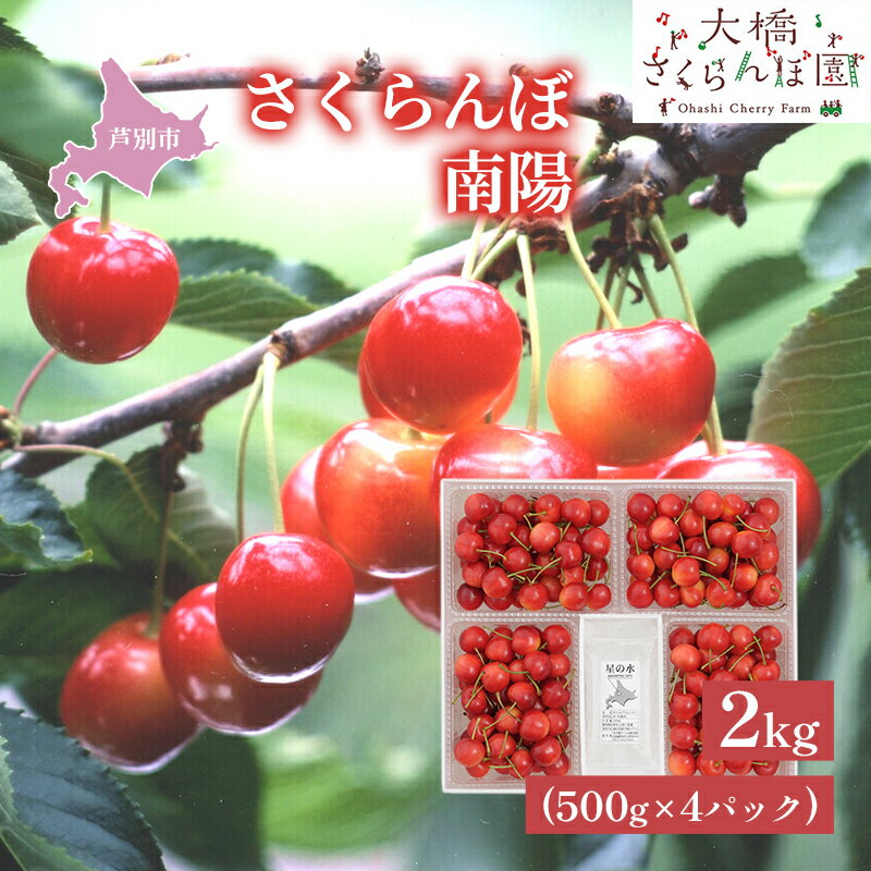 【ふるさと納税】【先行受付】さくらんぼ 赤 南陽2kg(500g×4パック)高級 なんよう サクランボ 芦別産 赤 果物類 フルーツ チェリー お届け:2025年7月中旬頃~