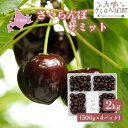【ふるさと納税】さくらんぼ 先行受付 サミット 2kg 500g×4パック 大橋さくらんぼ園 農林水産大臣賞 受賞 サクランボ チェリー 果物 果物類 フルーツ デザート 高級 希少 大粒 お届け:2025年7月中旬頃~