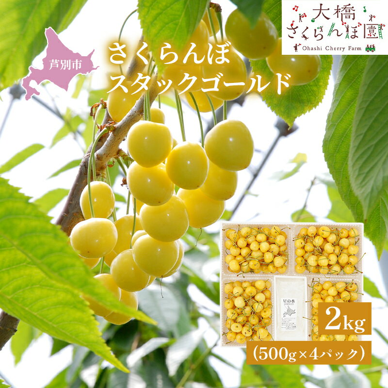 [先行受付]スタックゴールド黄 2kg(500g×4パック)サクランボ 黄 大橋 芦別 希少 大容量 果物類 フルーツ さくらんぼ チェリー お届け:2025年7月下旬頃〜