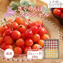 【ふるさと納税】【先行受付】厳選さくらんぼスペシャル2色D 48粒(赤・黄)勝錦・スタックゴールド 果物類 フルーツ チェリー お届け:2025年7月下旬頃~