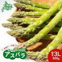 【ふるさと納税】【2025年発送】アスパラ 横市ヨーグルト栽培 500g 3L 横市フロマージュ舎 野菜 アスパラガス グリーンアスパラ 旬 とれたて お取り寄せ 産地直送 小分け 保存 芦別市 北海道 送料無料 お届け:2025年8月中旬まで