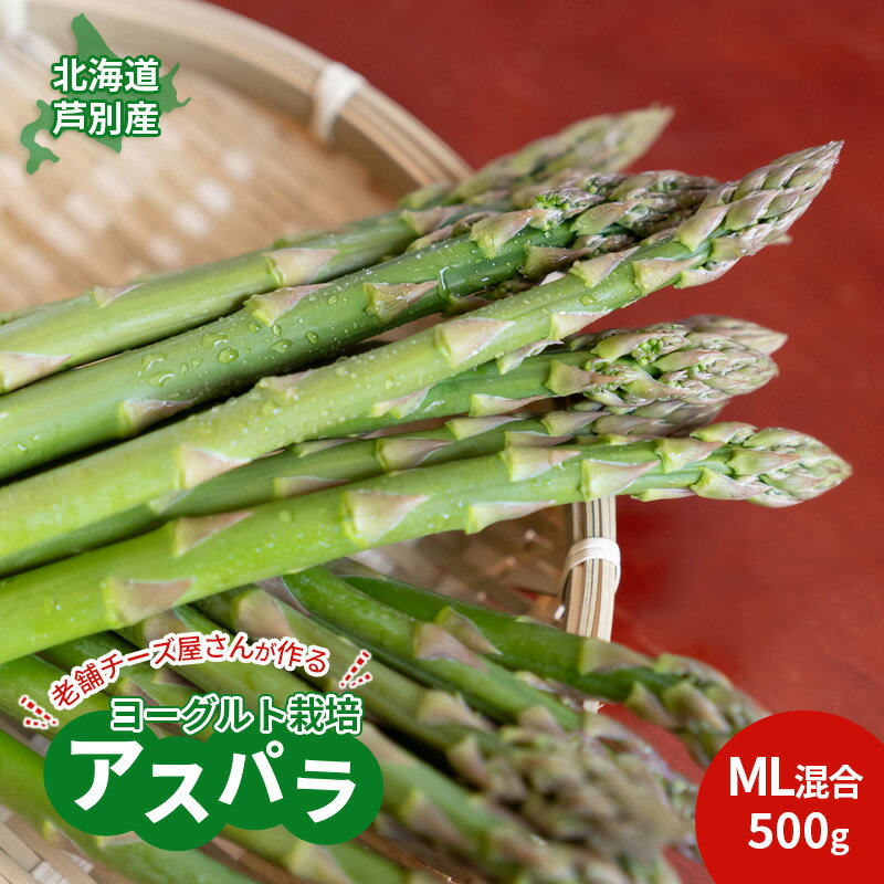 【ふるさと納税】先行予約 アスパラ 北海道 アスパラガス 500g MLサイズ混合 横市ヨーグルト栽培 横市フロマージュ舎 野菜 グリーンアスパラガス ホエイ ヨーグルト ヨーグルト菌 健康 旬 お取り寄せ 数量限定 産地直送 冷蔵 芦別市　お届け：2025年8月中旬まで