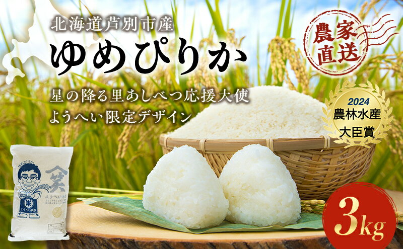 アイリスオーヤマ ※低温製法米のおいしいごはん 180g×10食 / 食品その他 / 729747