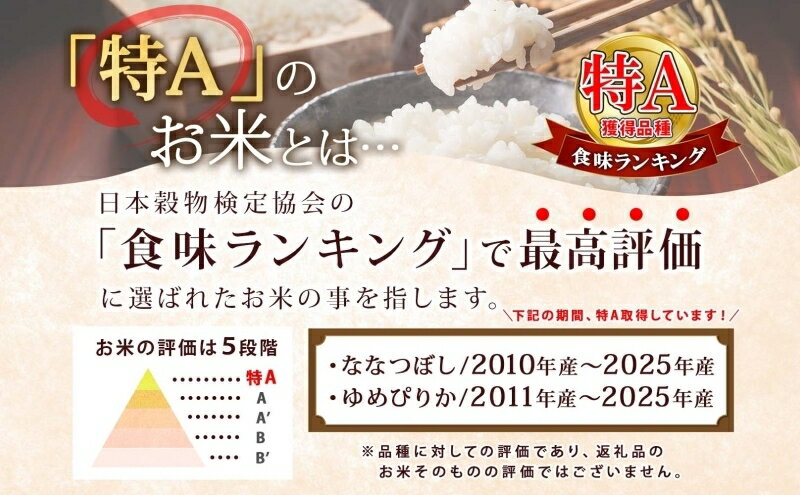 サンプル画像3