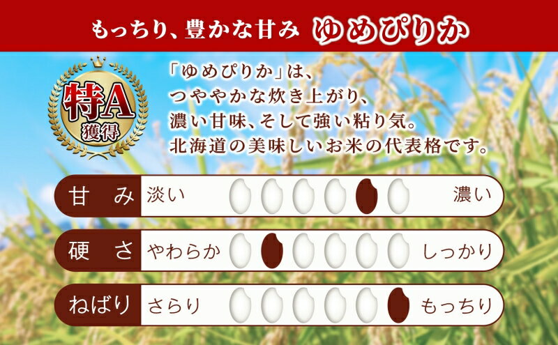 【ふるさと納税】［令和7年産 先行予約］米 ゆめぴりか 10kg（5kg×2袋） 北海道産 北海道産ゆめぴりか お米 こめ コメ 精米 白米 ご飯 特A 特a米 ブランド米 北海道米 伊藤興農園 北海道 芦別市　お届け：10月下旬以降お届け