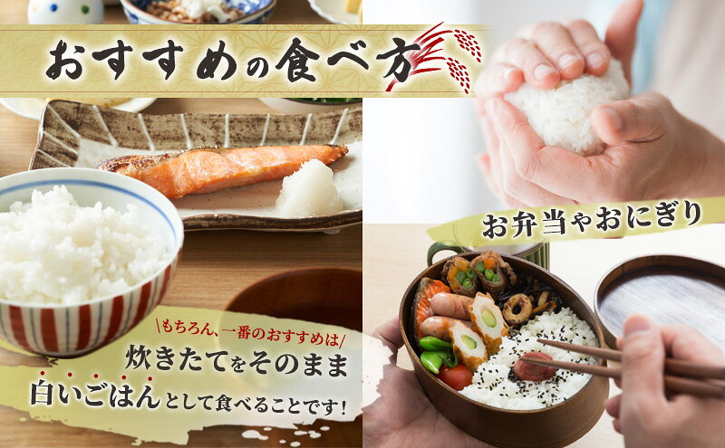 【ふるさと納税】【 先行受付 】米 定期便 3ヵ月 ゆめぴりか 無洗米 5kg 白米 精米...
