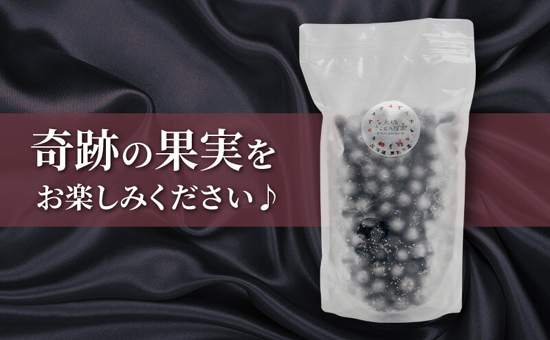 【ふるさと納税】アロニア 500g × 2パック 1kg 冷凍 果物 くだもの フルーツ 旬の果物 旬のフルーツ 大橋さくらんぼ園 果物類 フルーツ デザート 完熟 急速冷凍 新鮮 美味しい 人気 冷凍配送 北海道 芦別市 f012165-ashibetsu-10000949 北海道芦別市 サンプル画像3