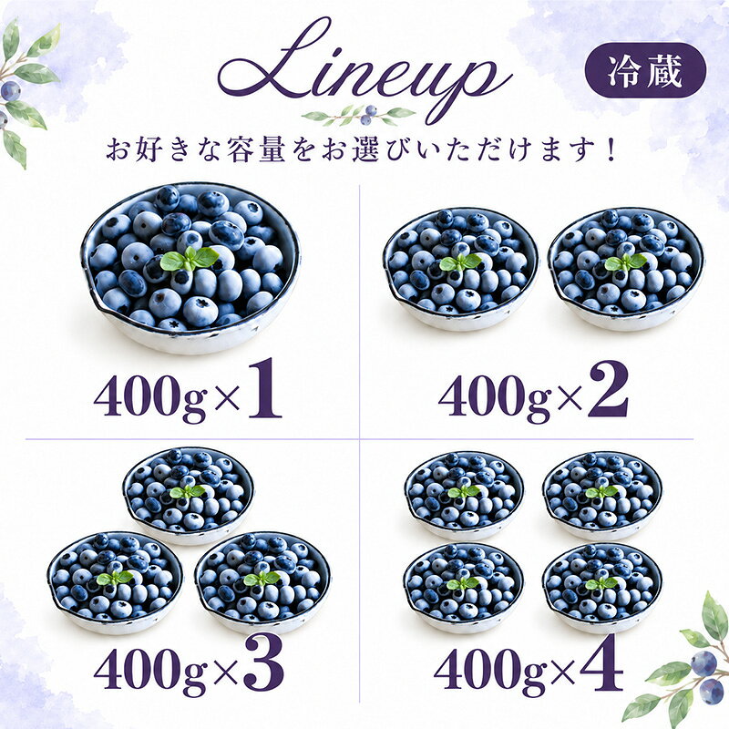 【ふるさと納税】選べる内容量【2027年夏配送】生 ブルーベリー 400g～1.2kg 池田農園 北海道 小分け 新鮮 フルーツ 果物 旬 旬の果物 産地直送 朝ごはん デザート おやつ ヨーグルト 冷蔵 芦別市　お届け：2027年7月下旬～8月下旬 f012165-ashibetsu-10000617 北海道芦別市 サンプル画像2