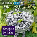 【ふるさと納税】冷凍 ブルーベリー 1.2kg (400g×3パック) 北海道産 フルーツ 果物 旬のフルーツ 旬の果物 くだもの 北海道 芦別市
