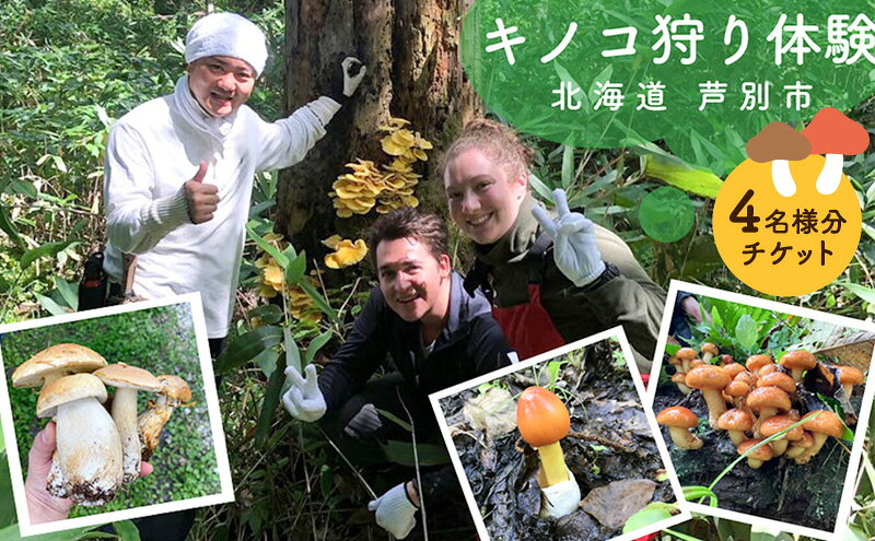 【ふるさと納税】体験 北海道 季節のキノコ狩り 体験チケット 4枚 (4名様分) ioru 体験型 旅行 子供 大人 アクティビティ アウトドア スポーツ ギフト券 チケット 券 きのこ キノコ きのこ鍋 煮物 渓流 芦別市 2