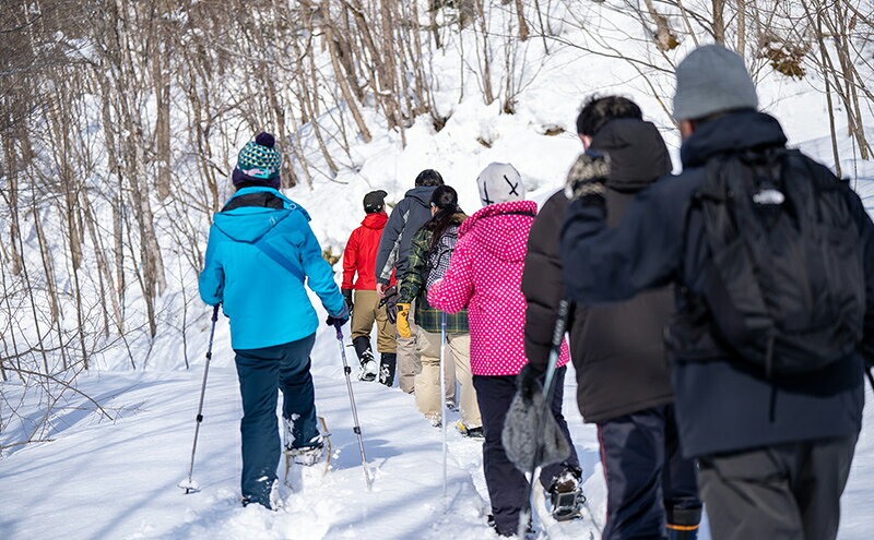 【ふるさと納税】体験 北海道 冬季限定！ スノーシュー 体験チケット 4枚 (4名様参加可能) ioru 体験型 旅行 子供 大人 動物 アクティビティ アウトドア スポーツ ギフト券 チケット 券 絶景 初心者 遊び 散歩 雪景色 自然 リフレッシュ 芦別市 3