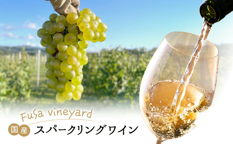 【ふるさと納税】北海道 芦別市 日本ワイン スパークリングワイン Polaris 2024 瓶内二次発酵 少量生産 FuSa vineyard 国産ワイン