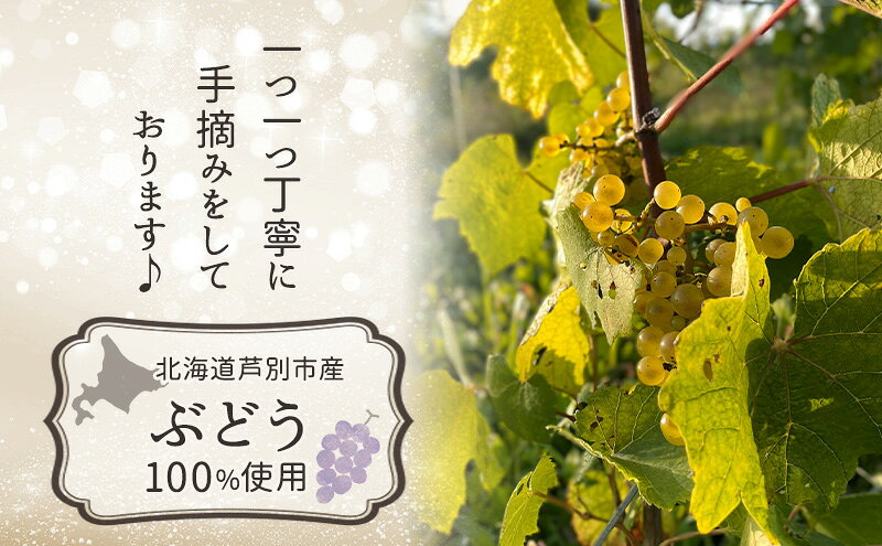 【ふるさと納税】北海道 芦別市 日本ワイン スパークリングワイン Polaris 2024 瓶内二次発酵 少量生産 FuSa vineyard 国産ワイン f012165-ashibetsu-10001062 北海道芦別市 サンプル画像3