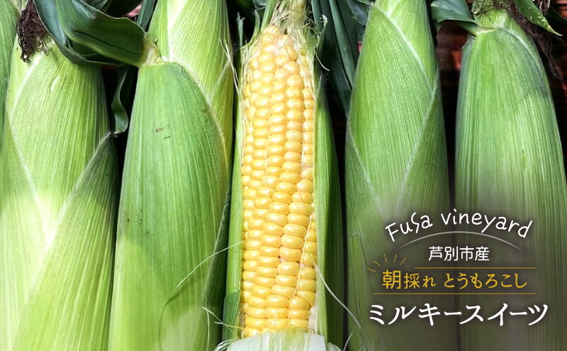 【ふるさと納税】北海道芦別市産 とうもろこし ミルキースイーツ 朝採れ 当日出荷 数量限定 生食可 FuSa vineyard 夏野菜　お届け：2026年8月上旬～8月中旬まで