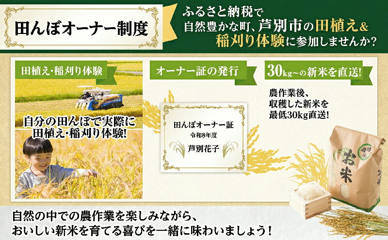 【ふるさと納税】北海道芦別市 宮田農園 田んぼオーナー制度 田植え・稲刈り体験付き 新米30kg保証　お届け：2026年5月上旬