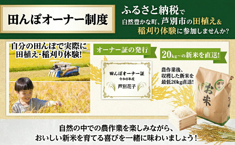 【ふるさと納税】【宿泊付】北海道芦別市 ファームなかむら 田んぼオーナー制度 田植え・稲刈り体験付き 貞子の家宿泊付きプラン 新米20kg保証　お届け：2026年5月上旬 f012165-ashibetsu-10001118 北海道芦別市 サンプル画像2