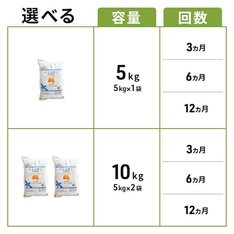 【ふるさと納税】≪容量・回数が選べる 定期便≫ 令和8年産 新米 ななつぼし ( 5kg / 10kg )×(3/6/12ヶ月) 米 お米 最高級 特A もちもち 甘み 北海道 芦別 農家直送 精米 白米 特Aランク 定期便 芦別応援米　お届け：8年産：2026年10月～順次出荷└新米切替有 f012165-ashibetsu-10001291 北海道芦別市 サンプル画像3