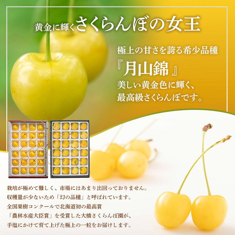 【ふるさと納税】冷凍さくらんぼ 月山錦 160g × 3パック 480g 黄色いさくらんぼ 希少種 さくらんぼの女王 急速冷凍 完熟 フルーツ 果物 デザート シャーベット 北海道 芦別市 f012165-ashibetsu-10001300 北海道芦別市 サンプル画像3