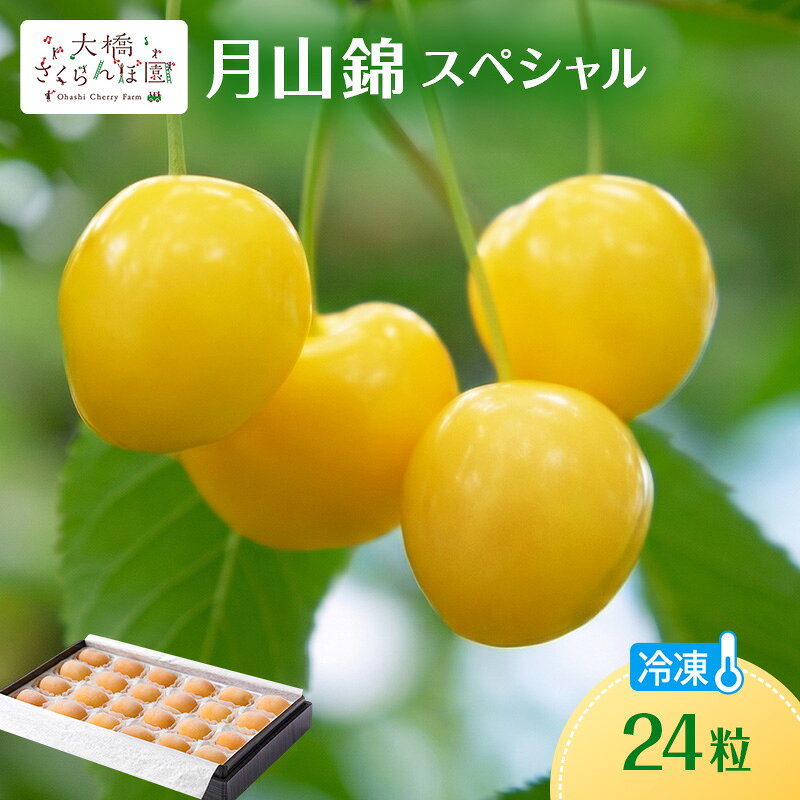 冷凍さくらんぼ 月山錦 スペシャル 24粒 化粧箱入 黄色いさくらんぼ 希少種 大粒 完熟 高級 フルーツ 果物 デザート 北海道 芦別市