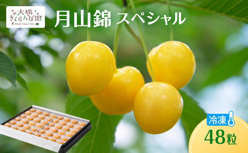 【ふるさと納税】冷凍さくらんぼ 月山錦 スペシャル 48粒 化粧箱入 黄色いさくらんぼ 希少種 大粒 大容量 完熟 フルーツ 果物 デザート 北海道 芦別市