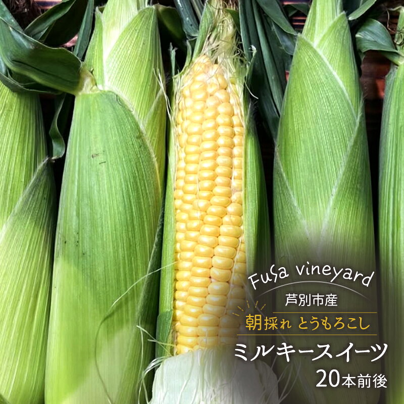 【ふるさと納税】北海道芦別市産 とうもろこし ミルキースイーツ 20本前後 朝採れ 当日出荷 数量限定 生食可 FuSa vineyard 夏野菜　お届け：2027年8月上旬～8月中旬まで