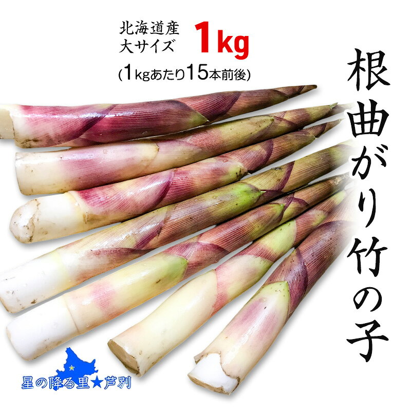 たけのこ 根曲がり竹の子 1kg 15本程度 山菜直売店中野渡 北海道産 竹の子 タケノコ 野菜 山菜 新鮮 味噌汁 春の恵 調理 冷蔵配送 北海道 芦別市 お届け:6月上旬以降順次発送