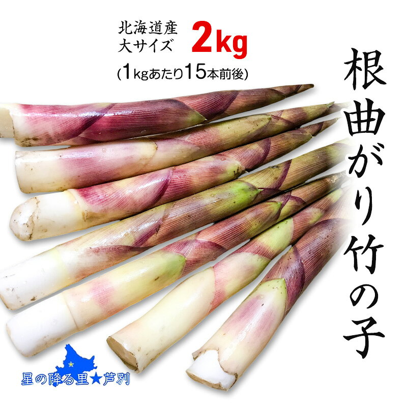 【ふるさと納税】たけのこ 根曲がり竹の子 2kg 1kgあたり15本程度 山菜直売店中野渡 北海道産 竹の子 タケノコ 野菜 山菜 新鮮 味噌汁 春の恵 調理 冷蔵配送 北海道 芦別市　お届け：6月上旬以降順次発送