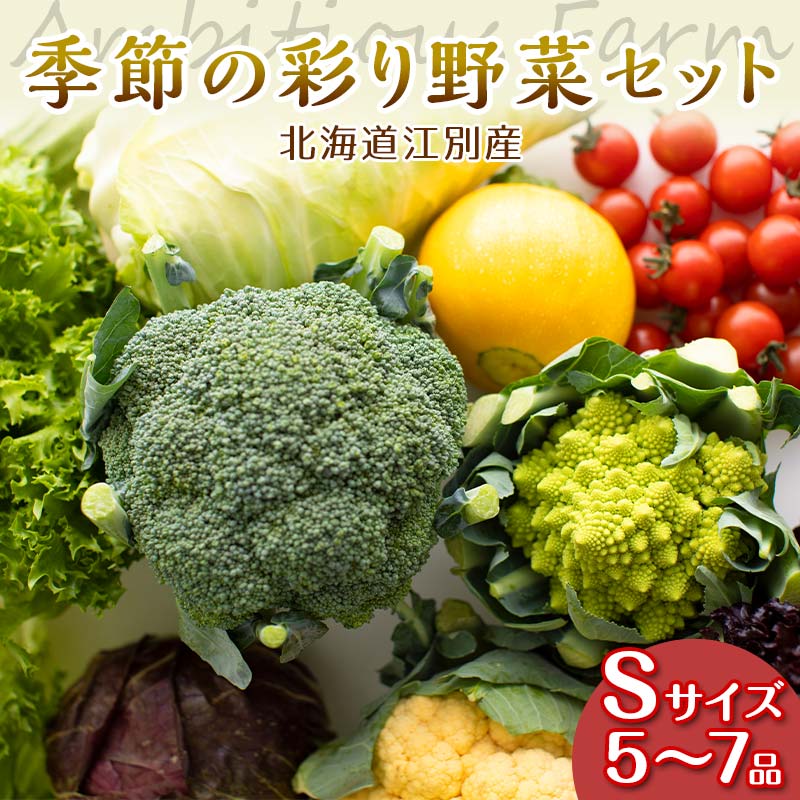 季節の彩り野菜セットSサイズ(5〜7品) 野菜 詰め合わせ 新鮮 産地直送 北海道 江別市