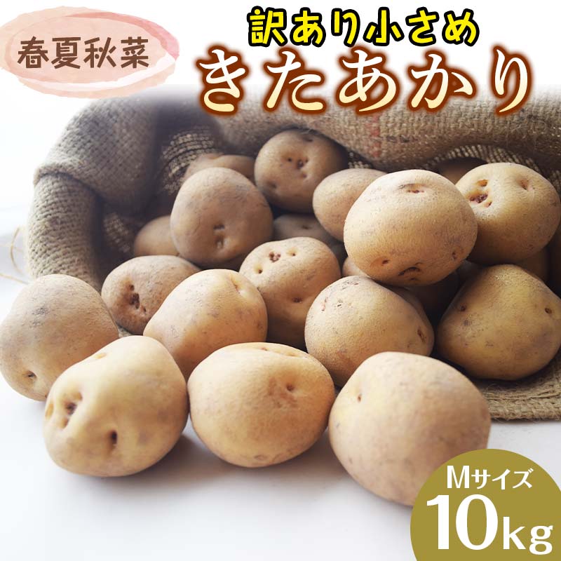 【ふるさと納税】『春夏秋菜』訳あり 小さめ きたあかり Mサイズ 10kg 2026年9月より順次発送 じゃがいも ジャガイモ EB8-0201