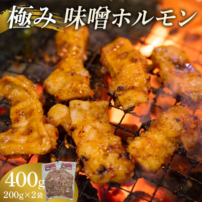【ふるさと納税】極み味噌ホルモン 400g(200g×2袋) EB8-0324
