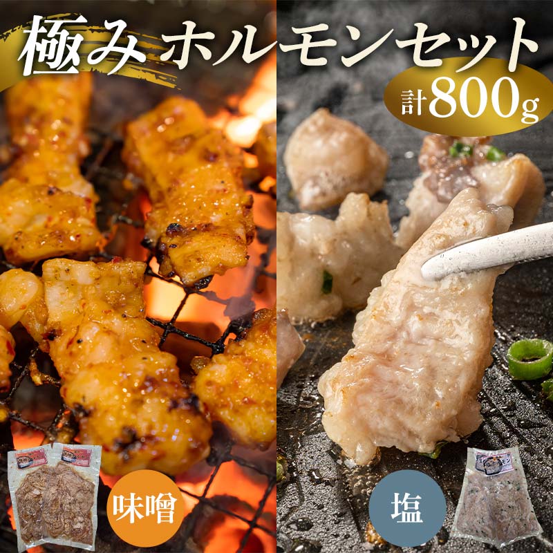極みホルモンセット 合計800g(塩ホルモン 400g・味噌ホルモン 400g) EB8-0327