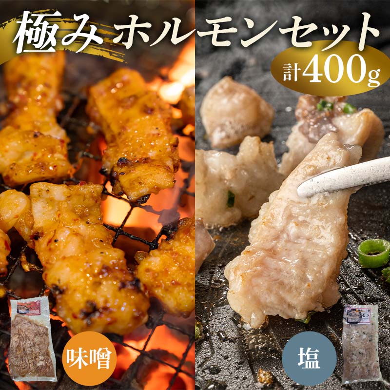 極みホルモンセット 合計400g(塩ホルモン 200g・味噌ホルモン 200g)