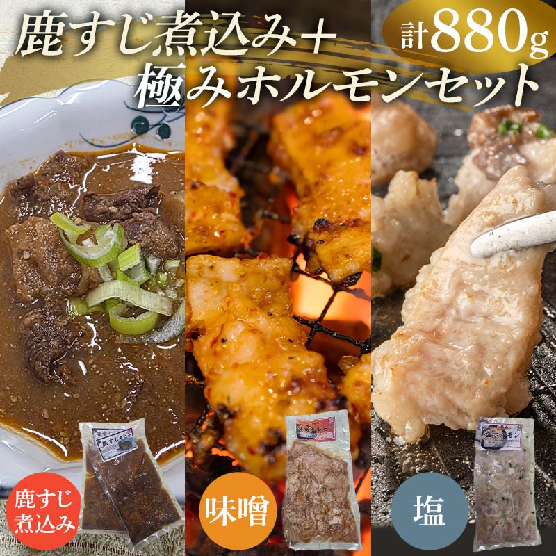 【ふるさと納税】鹿すじ煮込み+ホルモンセット 合計880g(鹿すじ煮込み 480g・塩ホルモン 200g・味噌ホルモン 200g) EB8-0329