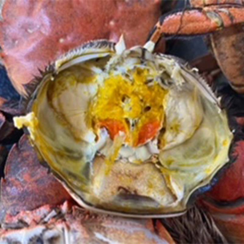 【ふるさと納税】石狩川・江別産 活天然もくず蟹 オス、メス混合2kg EB8-0348