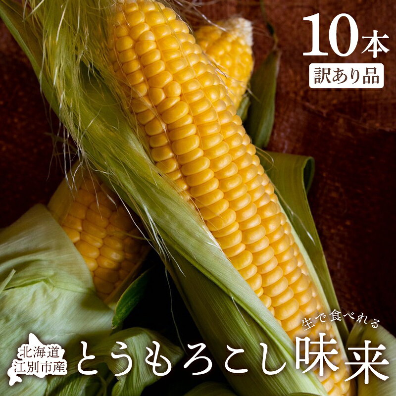 とうもろこし味来 10本入り 訳あり品 生で食べられる トウモロコシ とうきび コーン 新鮮野菜 減農薬栽培 北海道 江別市
