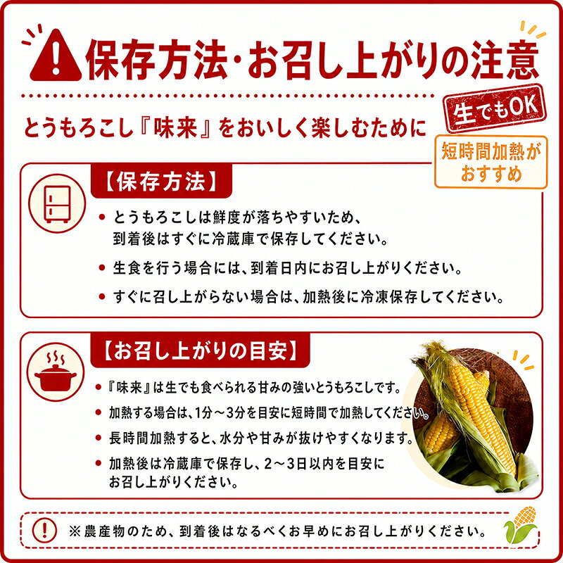【ふるさと納税】とうもろこし味来 10本入り 訳あり品 生で食べられる トウモロコシ とうきび コーン 新鮮野菜 減農薬栽培 北海道 江別市 EB8-0784