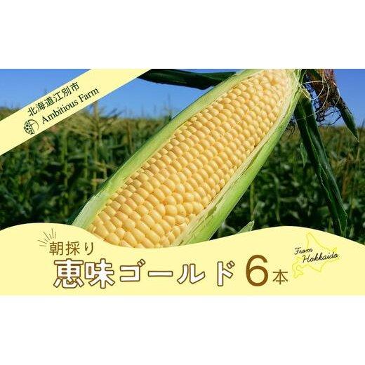 10位! 口コミ数「0件」評価「0」【先行予約】北海道江別産　とうもろこし　恵味ゴールド　(6本）2024年8月より発送開始 | トウモロコシ とうもろこし コーン 新鮮 野菜･･･ 