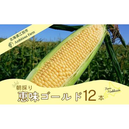 【先行予約】北海道江別産　とうもろこし　恵味ゴールド　(12本）2024年8月より発送開始 | トウモロコシ とうもろこし コーン 新鮮 野菜 北海道 江別市 送料無料