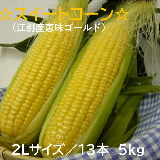 【ふるさと納税】先行予約 スイートコーン(恵味ゴールド)2Lサイズ13本入り 5kg 2025年夏発送! | 野菜 やさい 食品 人気 おすすめ 送料無料 【ふるさと納税】先行予約 スイートコーン(恵味ゴールド)2Lサイズ13本入り 5kg 2025年夏発送! | 野菜 やさい 食品 人気 おすすめ 送料無料