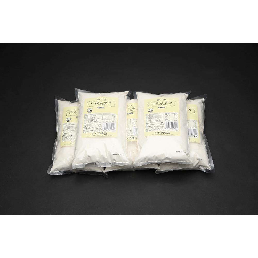 【ふるさと納税】ハルユタカ100%強力粉 1kg×5袋 | 小麦粉 食品 加工食品 人気 おすすめ 送料無料