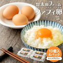 【ふるさと納税】ファフィ卵10個入4パック(サイズ不ぞろい) | たまご 卵 食品 人気 おすすめ 送料無料