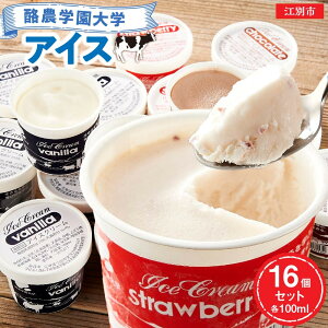 【ふるさと納税】酪農学園大学アイス16個セット(各100ml) | お菓子 氷菓 アイス バニラ チョコ ストロベリー セット スイーツ デザート 生乳 北海道ふるさと納税 江別 ふるさと納税 北海道