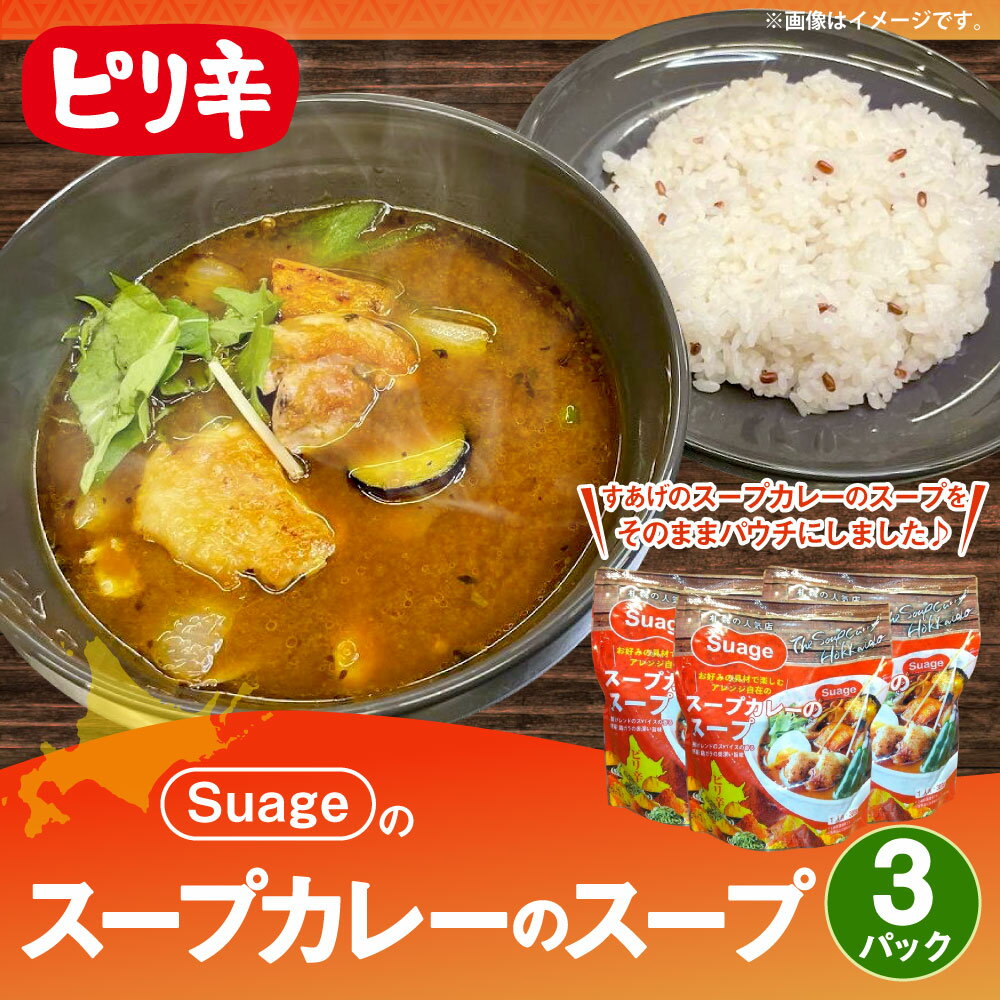 【ふるさと納税】Suageのスープカレーのスープ（3パック） | 1袋 300g Suage すがお スープカレー カレー レトルト 惣菜 温めるだけ 北海道ふるさと納税 江別 ふるさと納税 北海道 【BB002】