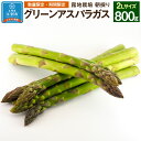 【ふるさと納税】【先行予約/2026年4月下旬より発送開始】BO001<数量限定・期間限定>グリーンアスパラガス(2Lサイズ) 800g 朝採り 露地栽培
