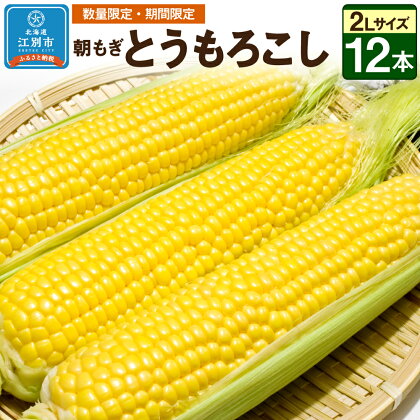 【先行予約・数量限定】朝もぎとうもろこし 2Lサイズ 12本(1本 450g以上・合計 5.4kg以上)