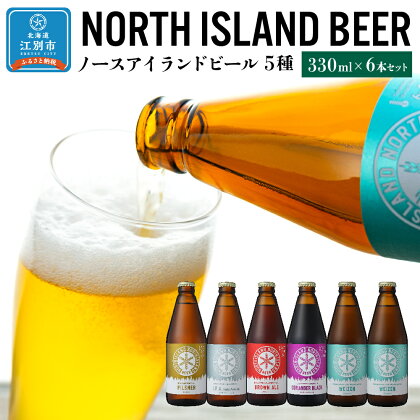 ノースアイランドビール5種6本セット | お酒 ビール セット 飲み比べ クラフトビール 北海道ふるさと納税 江別 ふるさと納税 北海道 【AA001】