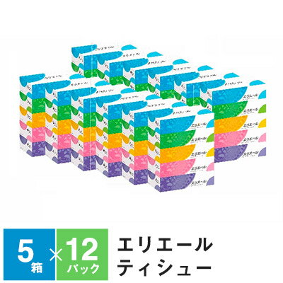 【ふるさと納税】エリエールティシュー180組5箱×12パック　計60箱　【ふるさと納税 エリエール 消耗品 雑貨 日用品】　お届け：※製造スケジュールの都合上、入金確認後お届けまで2〜3ヶ月程度かかる場合がございますので、あらかじめご了承願います。