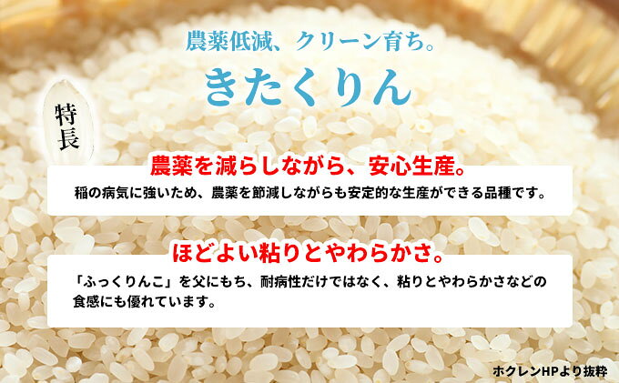 【北海道赤平市】　【ふるさと納税】きたくりん 特別栽培米 白米 精米 米 選べる 単品 定期便 5kg 10kg 北海道米 赤平産 お米 ごはん ご飯 ライス おにぎり 北海道 赤平市 《定期便は入金翌月から出荷開始》 　お届け：準備でき次第順次出荷