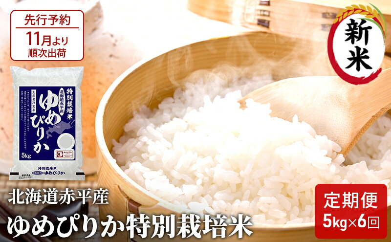 【ふるさと納税】北海道赤平産 ゆめぴりか 5kg 特別栽培米 【6回お届け】 精米 米 北海道 定期便　【定期便・定期便 ふるさと納税 ゆめぴりか 米 赤平産】